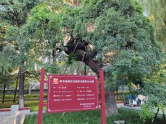 -木塔寺遗址生态公园