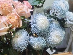 -双季花艺园艺市场(浦东店)