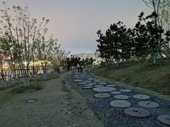 -小麦岛公园