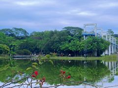 -东莞植物园
