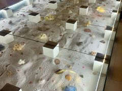 -青岛贝壳博物馆