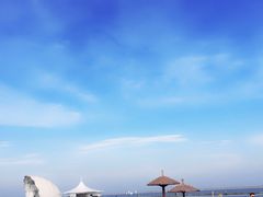 -碧海金沙