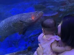 -沈阳海洋探索中心