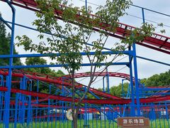 -上海滨江森林公园