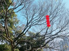 -乌山风景区