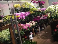 -双季花艺园艺市场(浦东店)