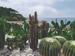 -广东惠东海龟国家级自然保护区