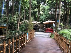 -二荆条·蜀鲜汇城市森林火锅
