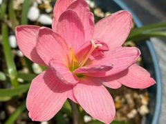 -魔指传奇足疗保健SPA(牛市口店)