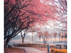 -白塘生态植物园