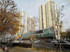 -凤凰中心