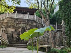 -宁波市保国寺古建筑博物馆