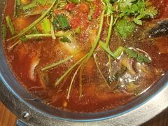 -老凯俚酸汤鱼(鸿通城店)