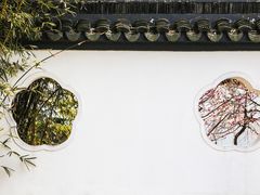 -梅花山(明孝陵内)