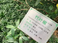 -广州神农草堂中医药博物馆