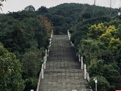 -铁山坪森林公园