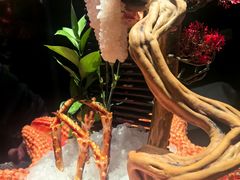 -蟹犇前•帝王蟹雪蟹(陆家嘴店)