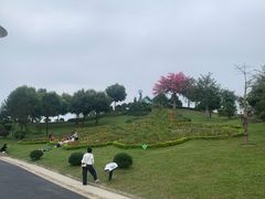 -东莞植物园