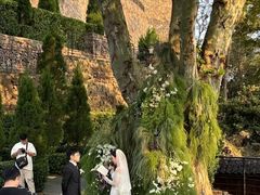 -怪咖·joker陈楠