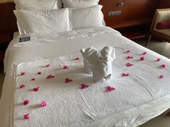 -三亚湾海居铂尔曼度假酒店