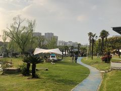 -新洲生态园