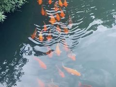 -五泄景区