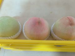 -老袁家蜜桃农场·阳山水蜜桃