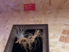 -Rabbit Cafe私房西餐甜点咖啡(栖霞路店)