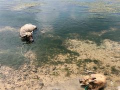 -杭州双溪漂流景区
