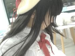 -喵的天空名猫咖啡馆·撸猫·猫舍·用品