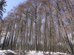 -硗碛藏寨·神木垒景区