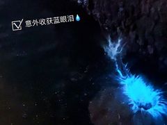 -东极岛景区-东海第一哨灯塔