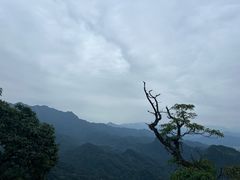 -青城山