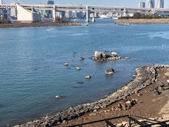 -台场海滨公园船码头