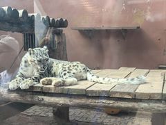 -青藏高原野生动物园