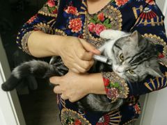 -伟伟宠物医院·CT影像中心·瑞派犬猫综合性门诊(汉口总院)