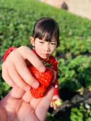 -蓝呗呗蓝莓草莓采摘园(通州区马驹桥店)