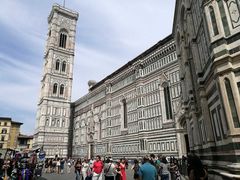 -圣母百花大教堂穹顶