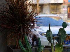 -十一咖啡(青年大街工厂店)