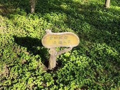 -碑林公园