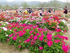 景点-盈香心动乐园