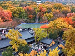 -灵谷景区