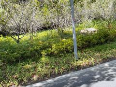 -昆山城市生态森林公园