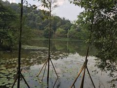-广州市石门国家森林公园