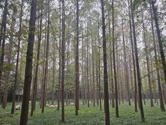 -河南省黄河迎宾馆