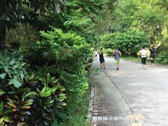 -金山植物公园