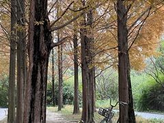 -成都南湖公园