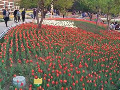 -长春公园(普阳街道)