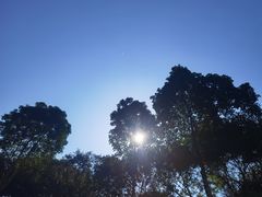 -大渡口区义渡公园