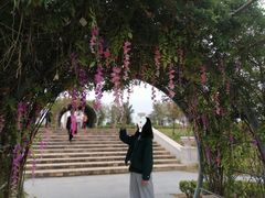 -泰山天颐湖旅游度假区